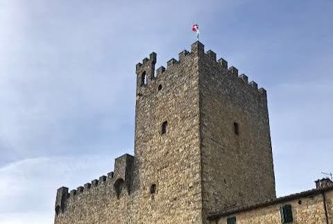 IMG_6220-480x540